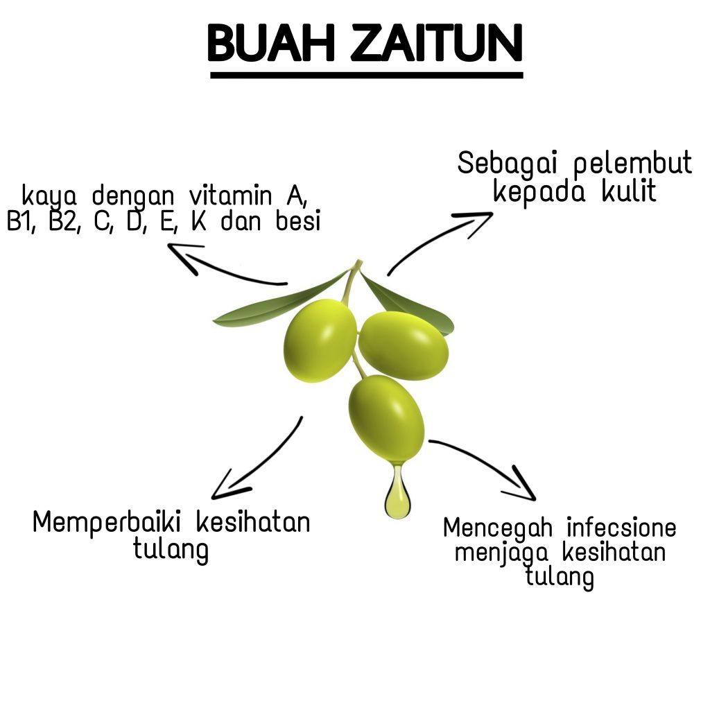 buah zaitun