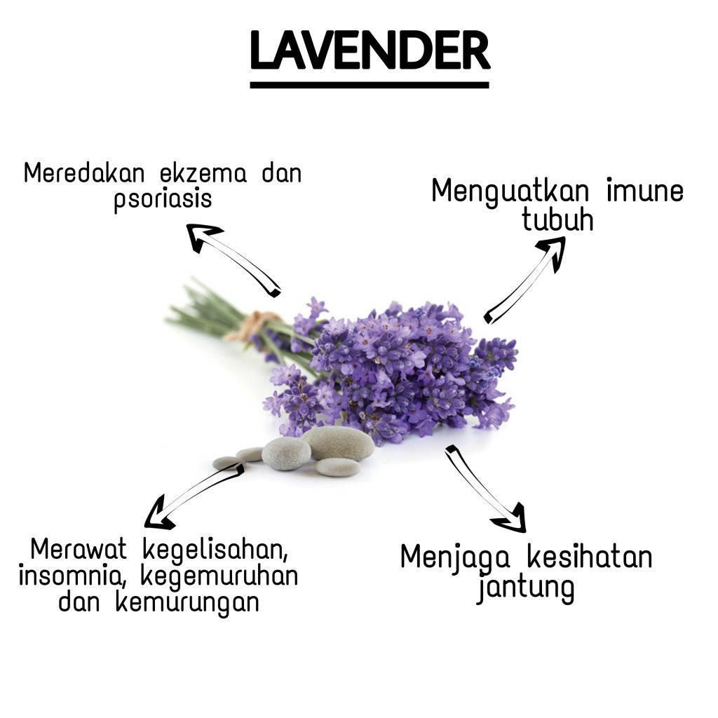 lavender